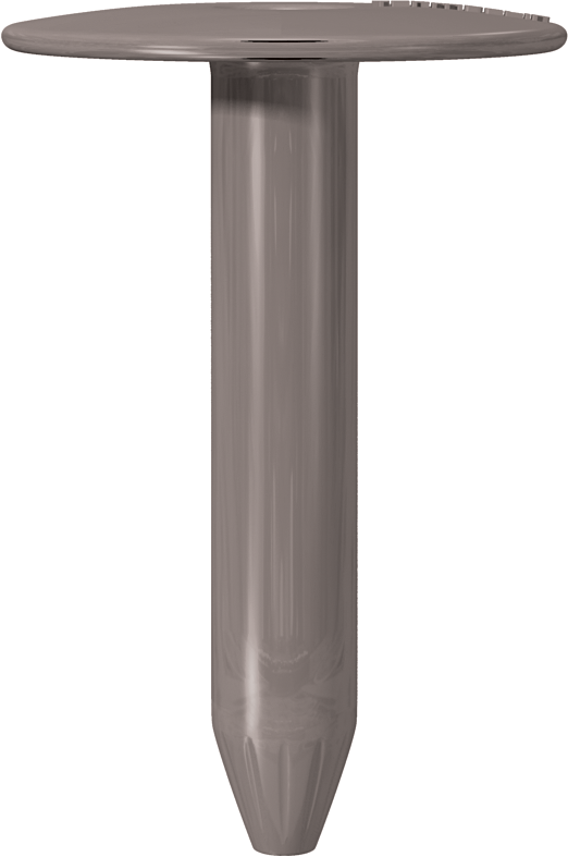 Roof PTE 3. Polymeric disk-shaped element