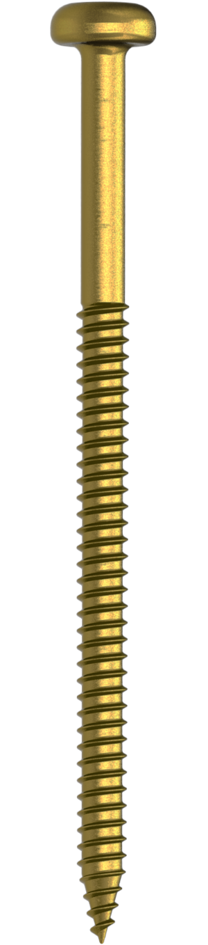 WST 5,5. Self tapping screw