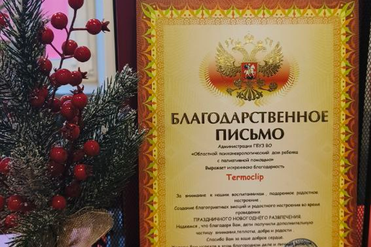 Новогодняя благотворительная программа